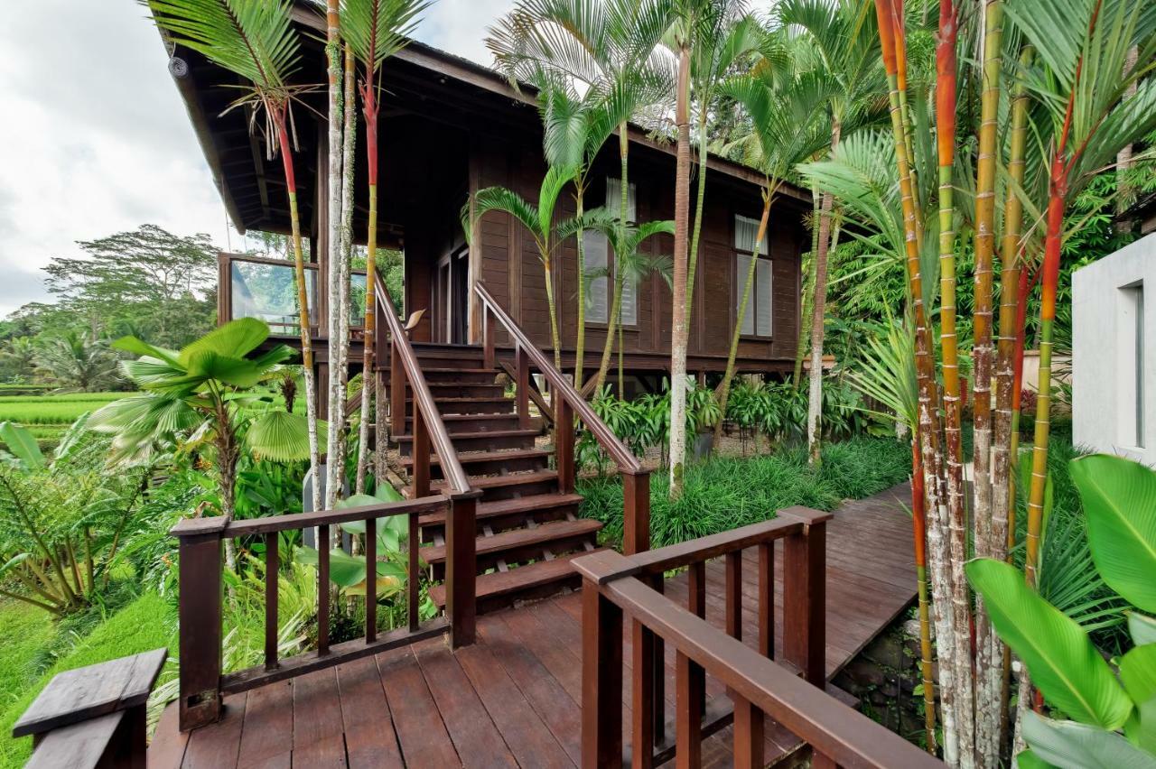 Villa Kembang Bali Ubud Zewnętrze zdjęcie